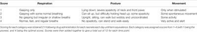 Examining Neurosteroid-Analogue Therapy in the Preterm Neonate For Promoting Hippocampal Neurodevelopment